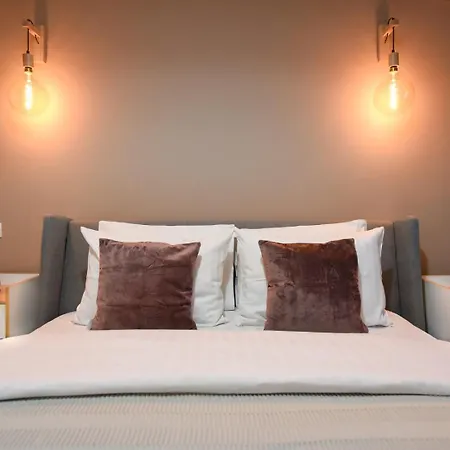 公寓 Living At Its - Spacious 2 Bedroom On Calea Victoriei